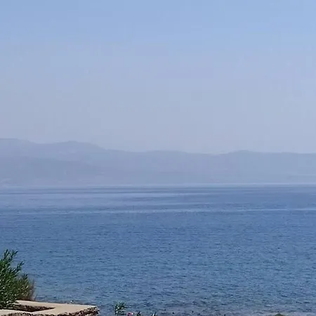 Yellow House * Logaras