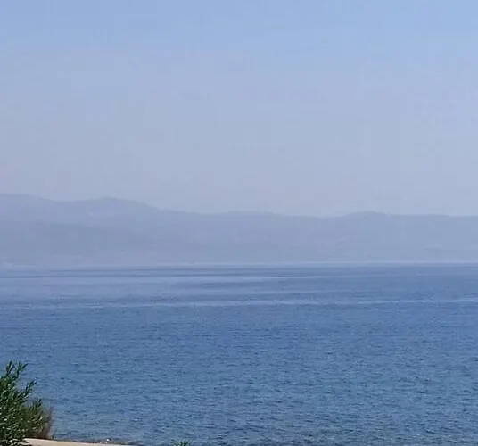 Yellow House * Logaras